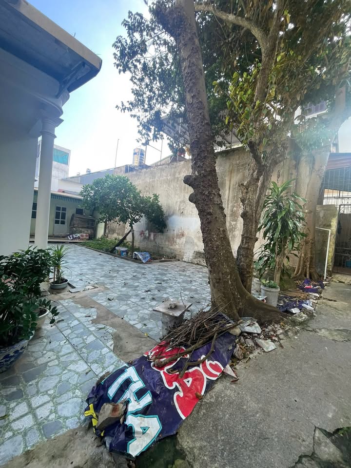 Đất nền Phường Đông Vệ 78m² giá 1 tỷ - Cơ hội đầu tư tuyệt vời!