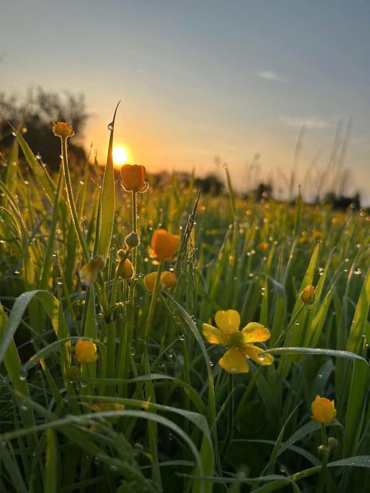 Nhà mặt tiền tại Mỹ Hòa, Long Xuyên 31.8m² giá 1.6 tỷ - Phù hợp để ở hoặc cho thuê!