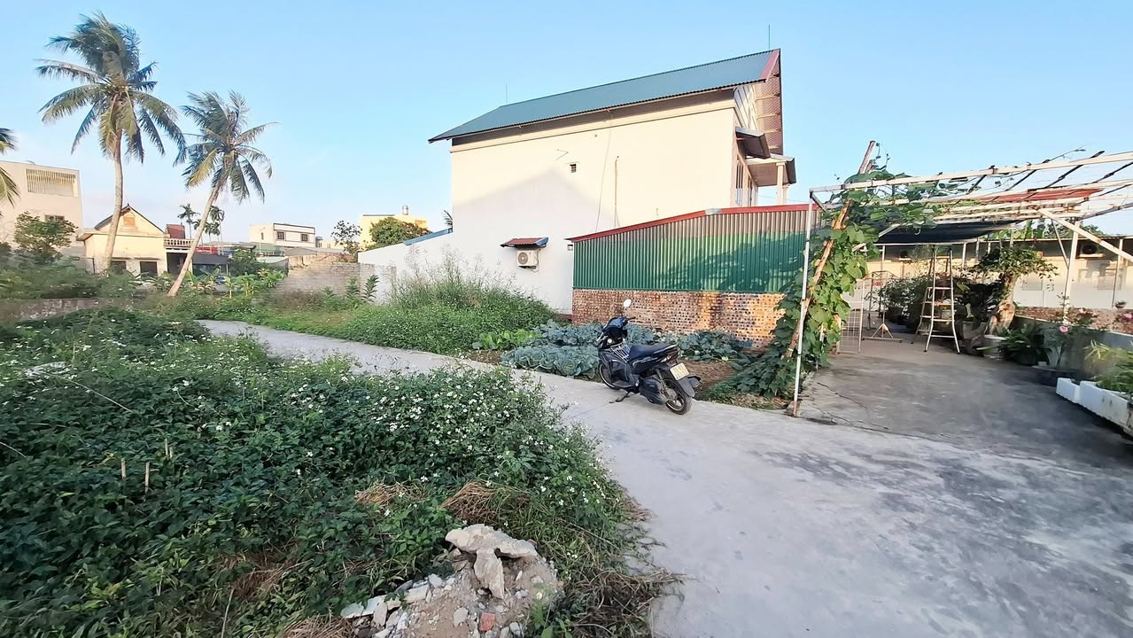 Lô đất đường thông tại Câu Trung, An Lão, Hải Phòng 87.3m² - Vị trí đẹp, tiềm năng tăng giá!