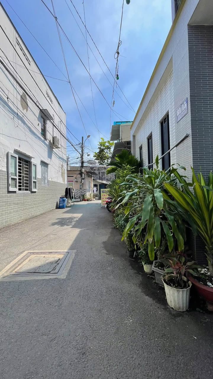 Đất nền Tam Bình Thủ Đức 100m² giá 5.2 tỷ - Sổ hồng riêng, xây dựng tự do!