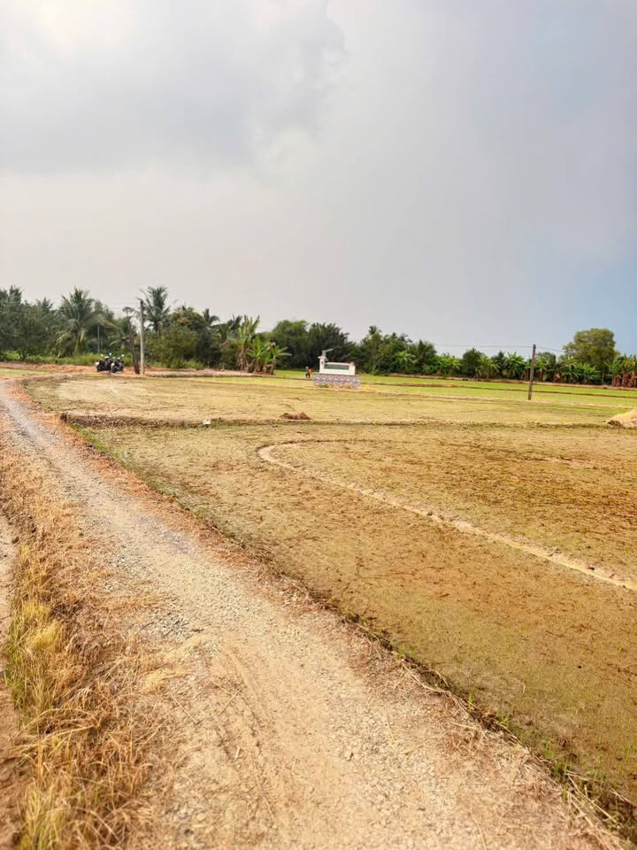 Đất nền ấp 1 Lạc Tấn 6377m² giá 1.594 tỷ - Gần khu dân cư đông đúc!