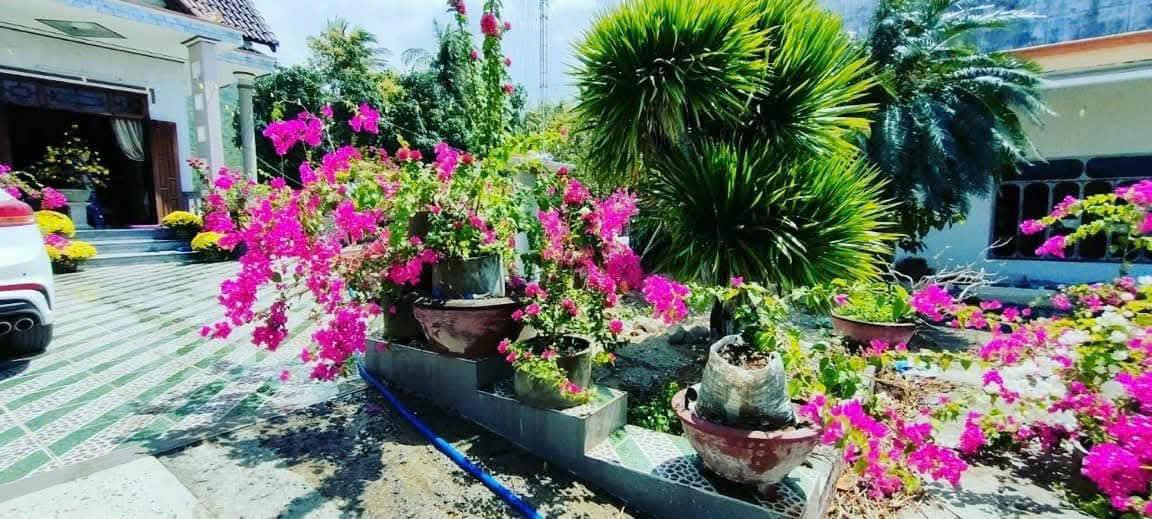 Đất 3 mặt tiền Ninh Hòa 440m² giá 2.15 tỷ - Đầu tư sinh lời ngay!