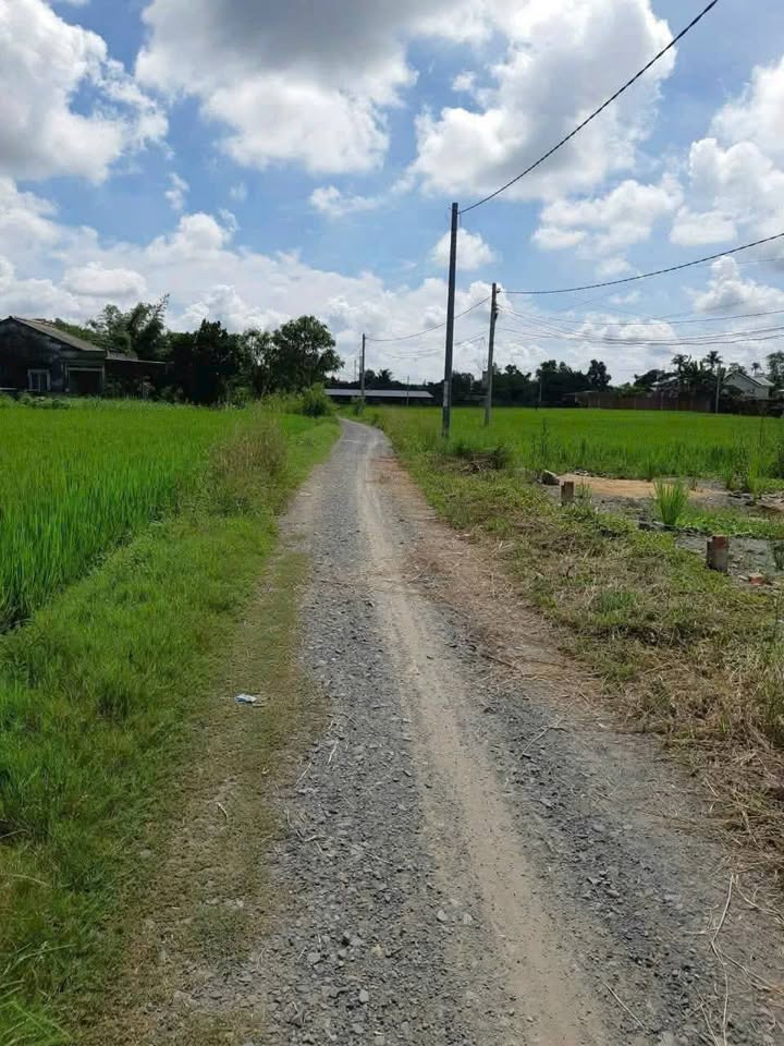 Đất nền Cần Đước Long An 290m² giá 1 tỷ - Tiềm năng xây dựng 3 ngôi nhà