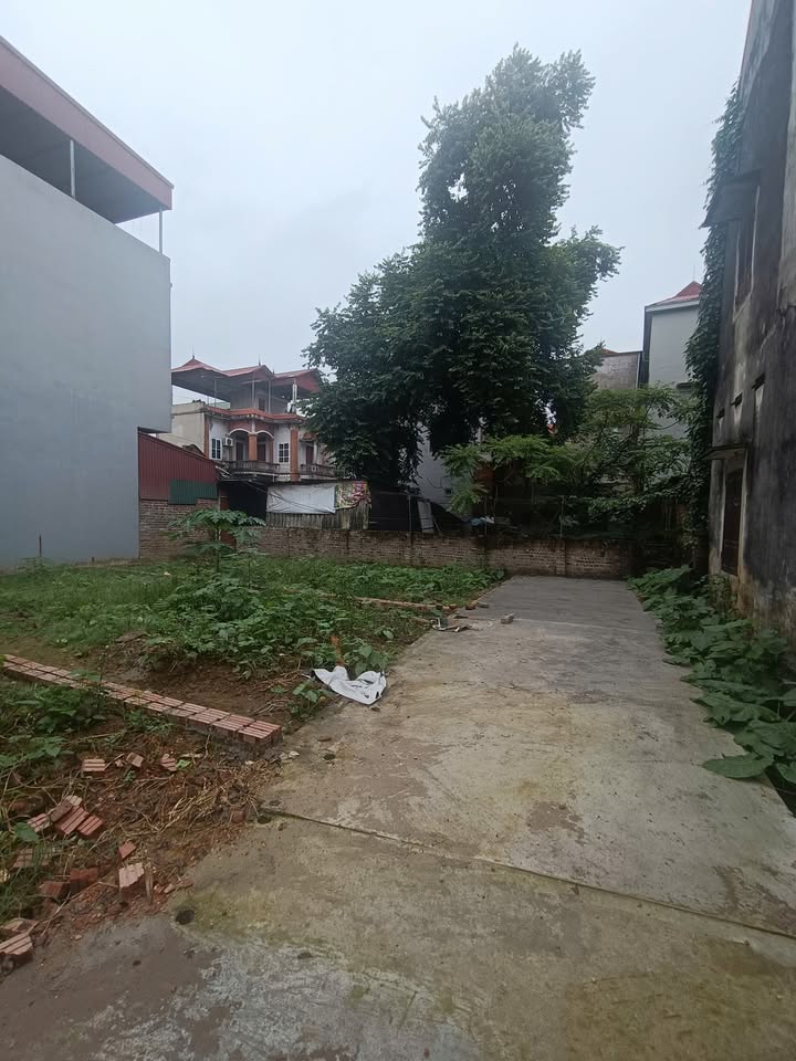 Đất nền 50m² tại khu phố Đức Hiệp, Song Liễu, giá chỉ 1.4 tỷ - Đầu tư sinh lời hấp dẫn!