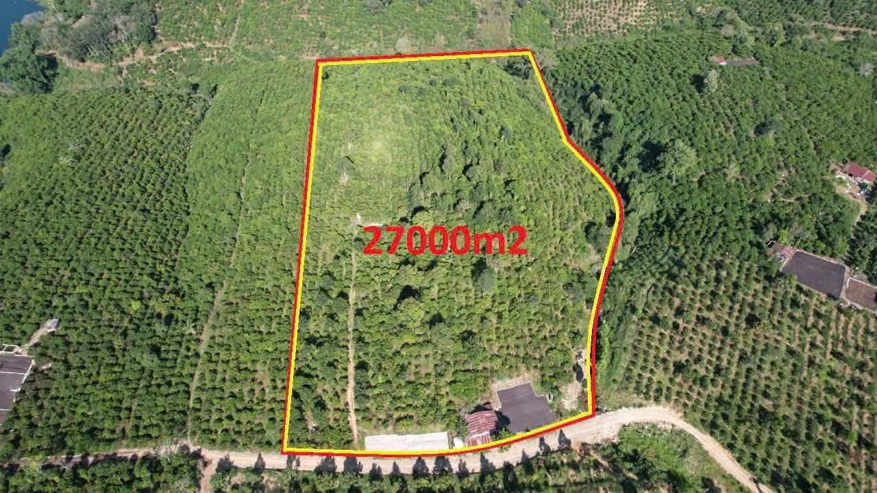 Đất nền Tân Nghĩa, Di Linh 27.000m² chỉ 6.75 tỷ - Giá rẻ nhất khu vực!