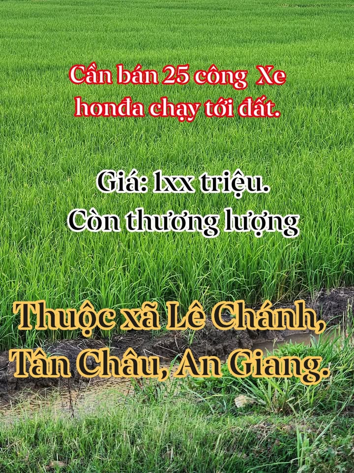 Đất Ruộng 25 Công Tại Xã Lê Chánh, Tân Châu, An Giang - Giá Cực Tốt Chỉ 100 Triệu/Công