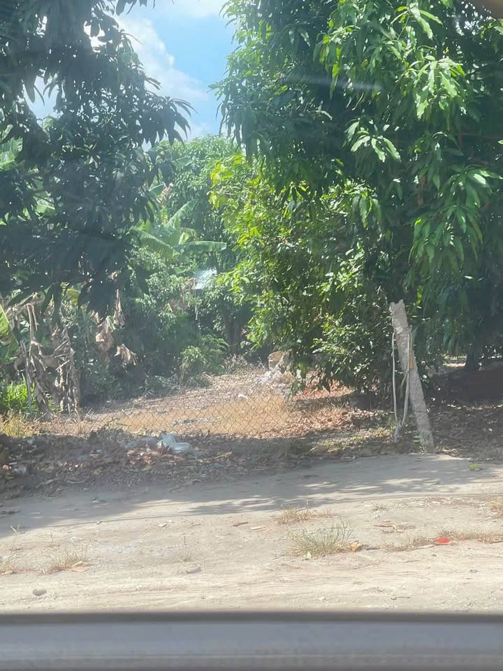 Đất nền mặt tiền tỉnh 951, Phú Tân, An Giang 402m² - Giá rẻ bất ngờ cho nhà đầu tư!