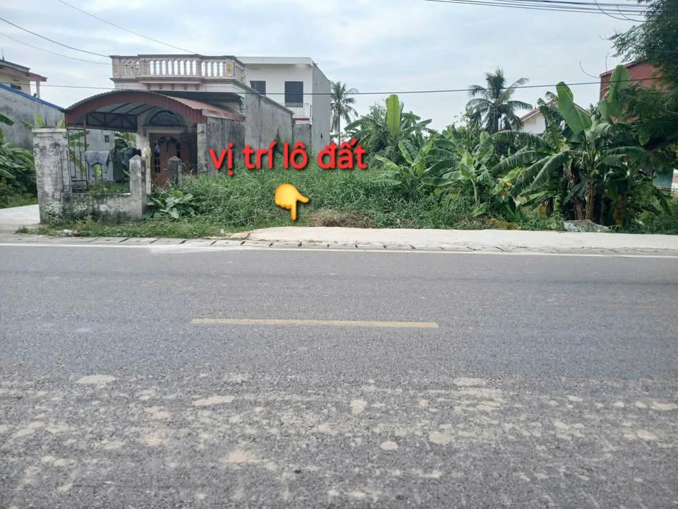 Đất mặt đường Tỉnh 362 An Lão 135m² giá 3 tỷ - Đầu tư sinh lời ngay!