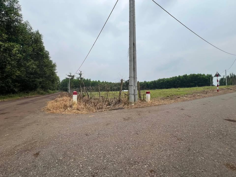 Đất nền Bình Giã, Châu Đức, Bà Rịa - Vũng Tàu 35.000m² giá 5 tỷ - Đầu tư sinh lời lý tưởng!