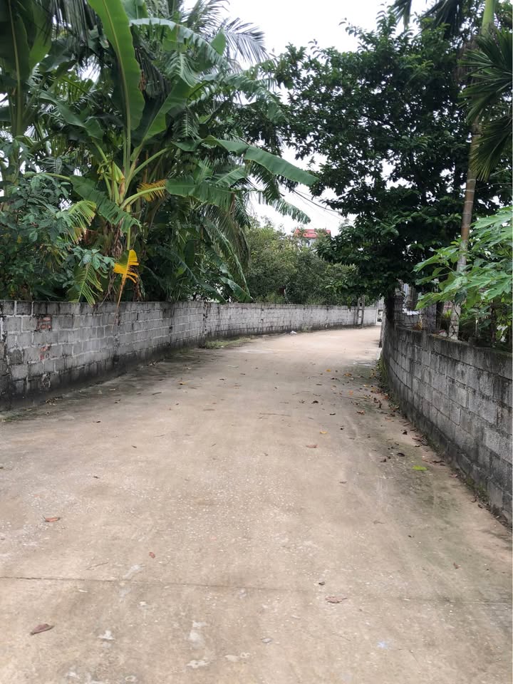 Đất nền Phù Liễn, Hải Phòng 55m² giá 1.05 tỷ - Đầu tư sinh lời ngay!