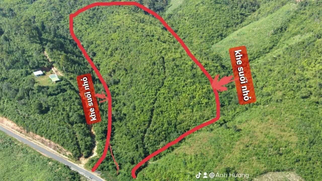 Farm Đăk Kôi Kon Rẫy 14ha - Lô đất siêu phẩm mới tinh, bám mặt đường nhựa!