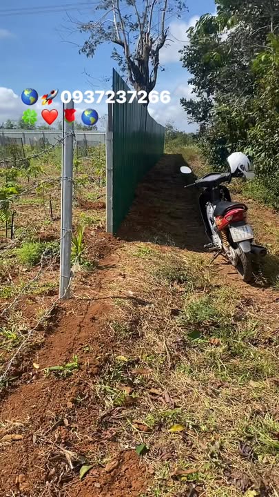 Đất Farm Cư M'gar Đắk Lắk 3600m² giá 520 triệu - Cơ hội đầu tư tuyệt vời!