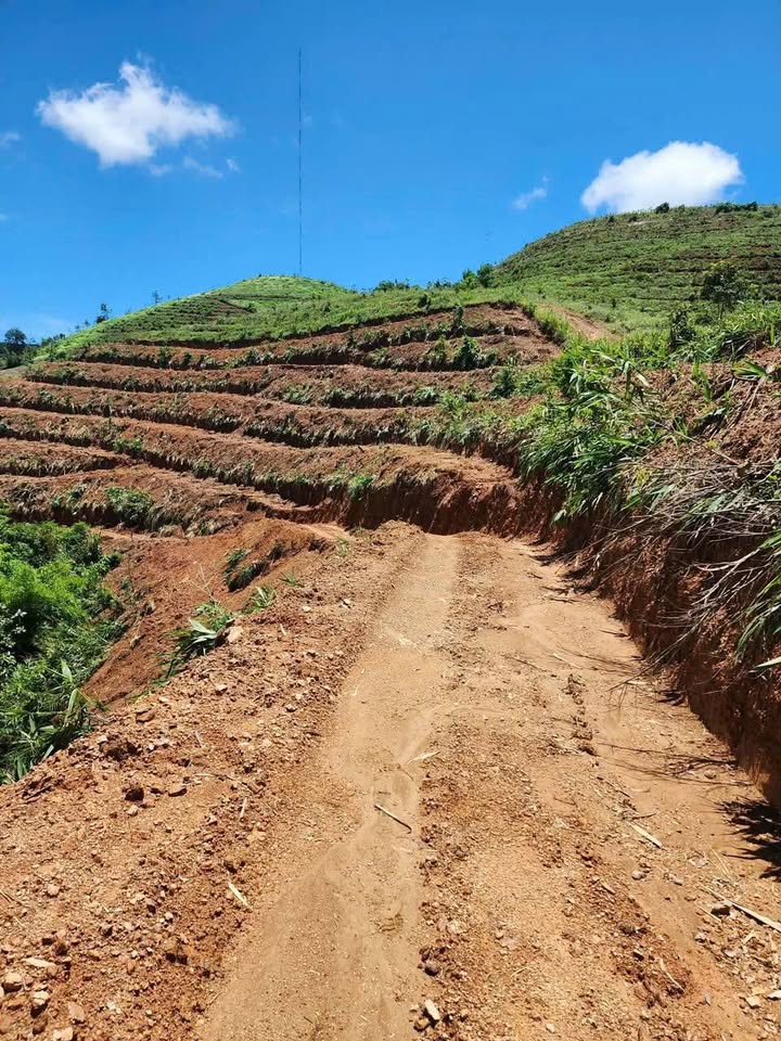 Farm Đăk Blà, Kon Tum 15ha giá 1 tỷ - Tiềm năng phát triển vượt trội!