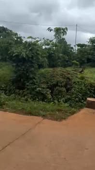 Đất nền Ea Tar Cư M'gar 7560m² giá 870 triệu - Sổ hồng chính chủ, vị trí đắc địa!