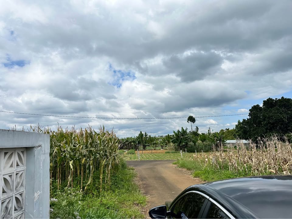 Đất nền Lộc Tiến Bảo Lộc 225m² giá 1.4 tỷ - Cơ hội đầu tư tuyệt vời!