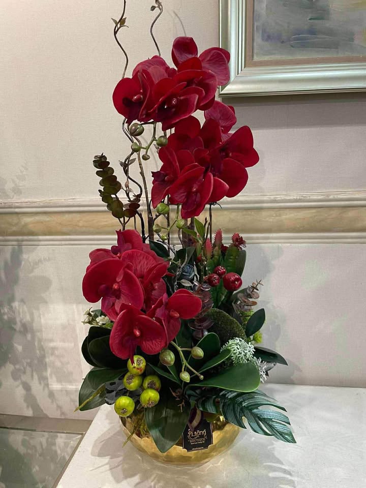 Đất nền Nông Trang, Việt Trì 71m² giá chỉ 1 tỷ - Đầu tư sinh lời ngay!