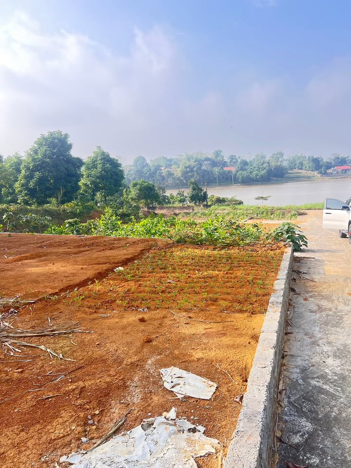 Đất nghỉ dưỡng Đào Xá Phú Thọ 250m² giá thỏa thuận - Không gian sống yên bình bên hồ!