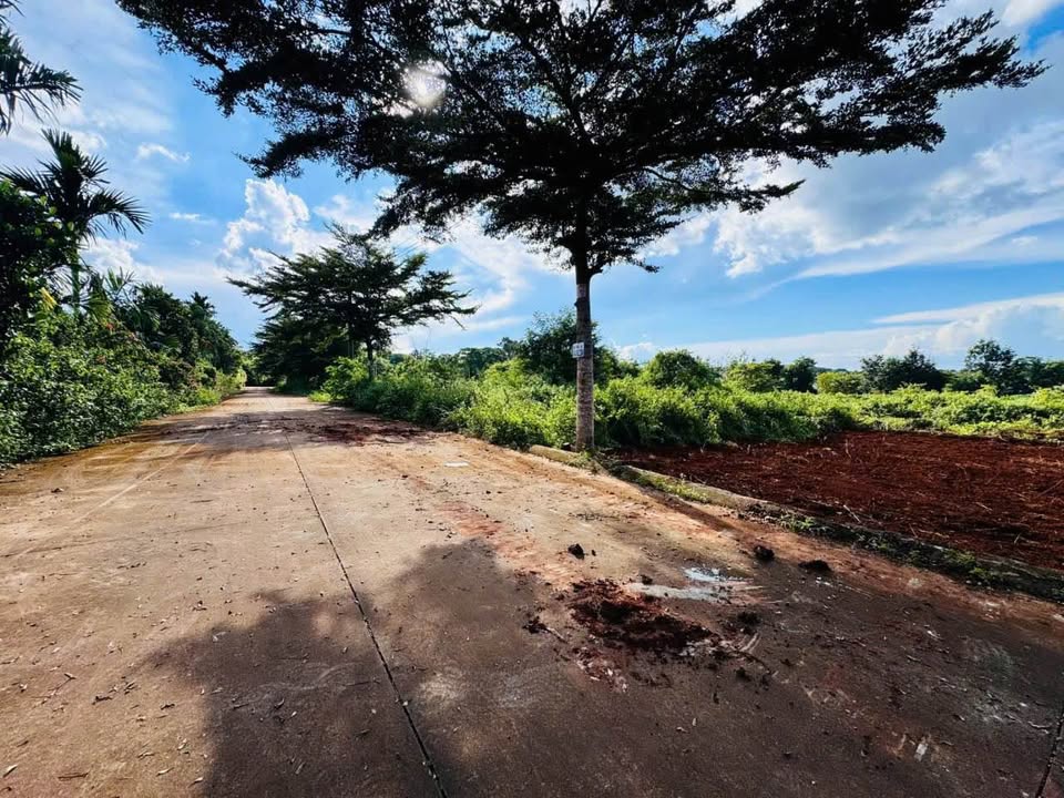 Đất thổ cư Khu Him Lam, Quảng Phú, Cư M'gar 115m² - Giá chỉ 1.05 tỷ!