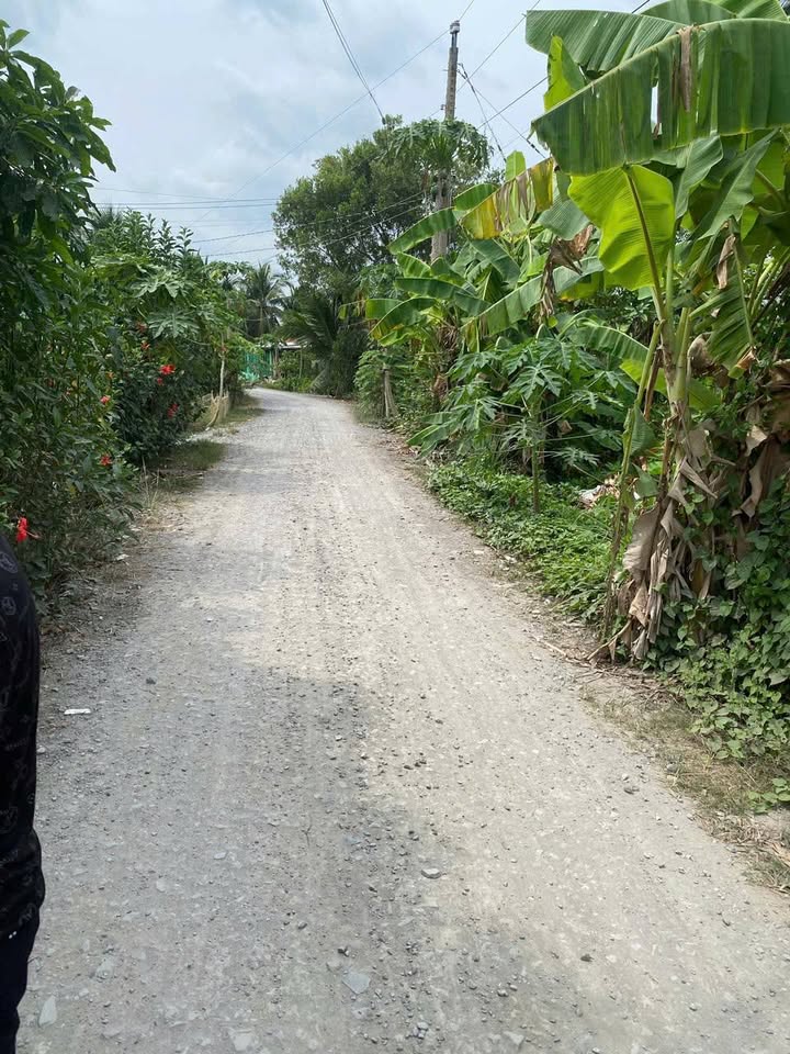 Lô đất thổ cư Hựu Thạnh, Đức Hòa 200m² giá 960 triệu - Đầu tư sinh lời ngay!