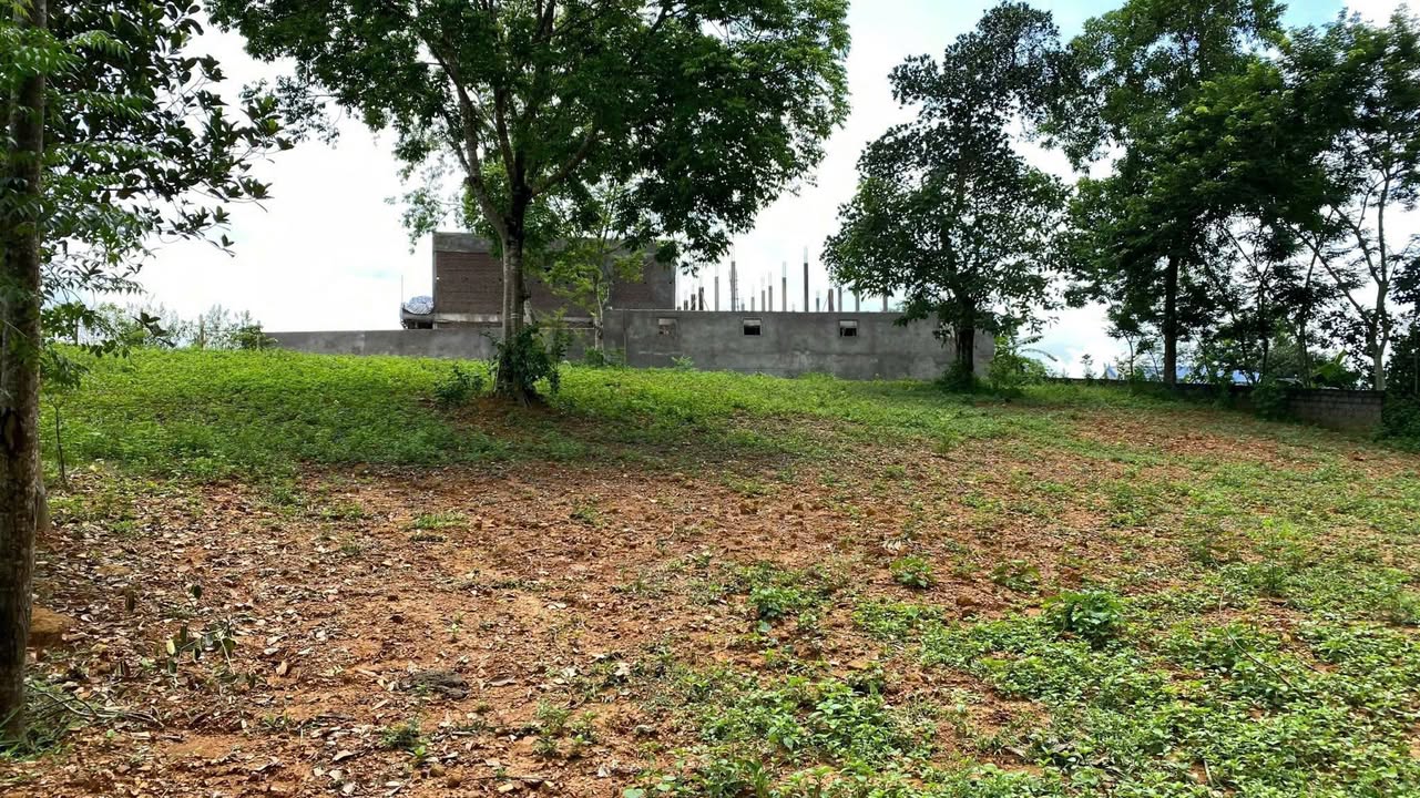 Đất nền Cư Yên Lương Sơn 1887m² giá thỏa thuận - Mặt tiền rộng 22m, vị trí cao thoáng!