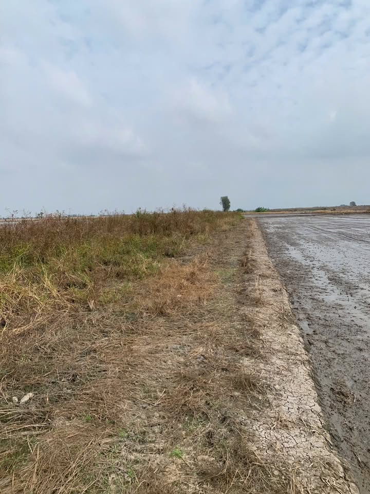 Đất nông nghiệp mặt tiền kênh H Định Thành, 5 công giá 2 tỷ - Cơ hội đầu tư hấp dẫn!