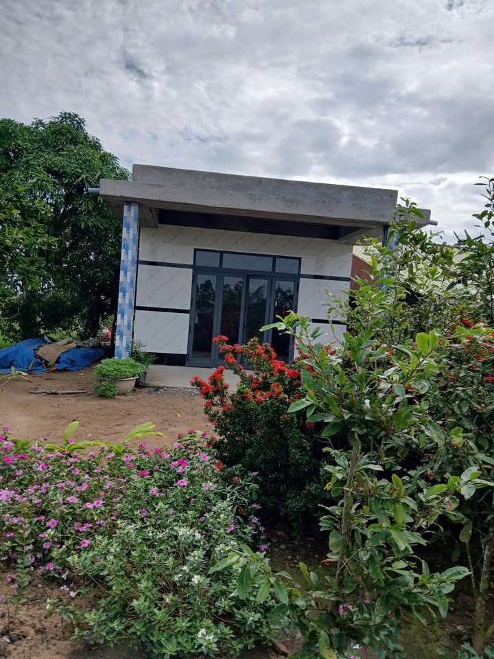 Đất vườn 5.8 công xã Thạnh Phước, Long An - Giá chỉ 1.25 tỷ!