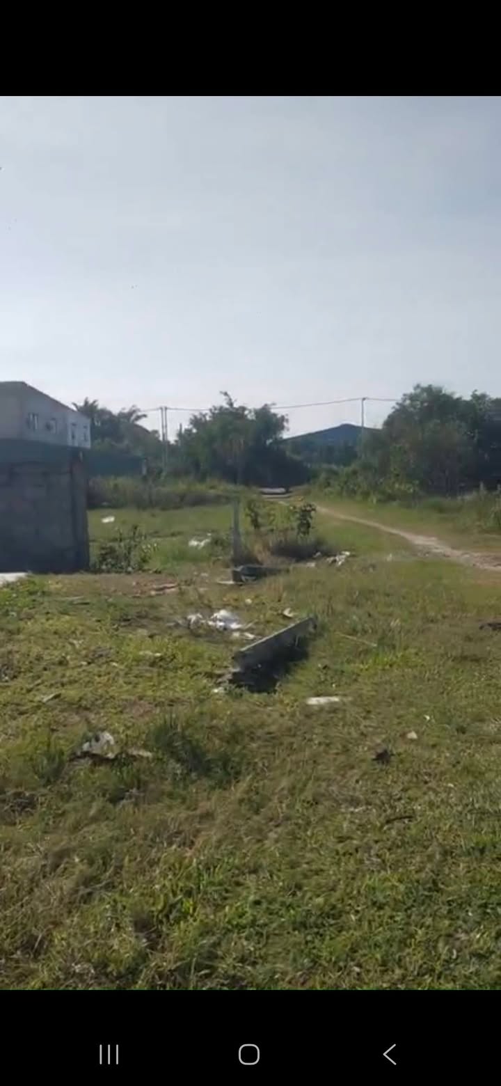 Đất lúa 800m² tại Mỹ Hạnh Bắc Long An giá 790 triệu - Cơ hội đầu tư tuyệt vời!