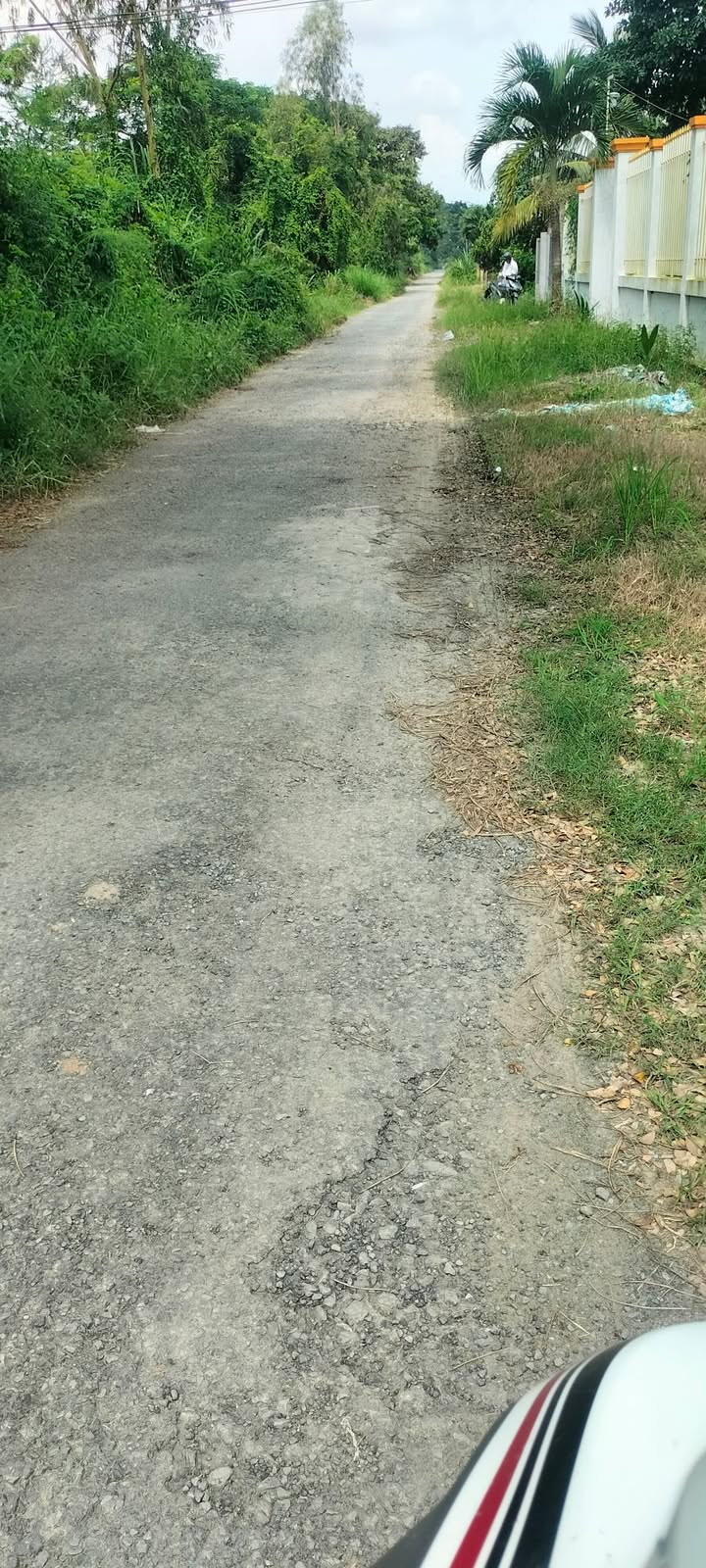 Đất nền 1000m² Châu Thành Trà Vinh giá chỉ 500 triệu - Pháp lý rõ ràng, ô tô vào tận nơi!