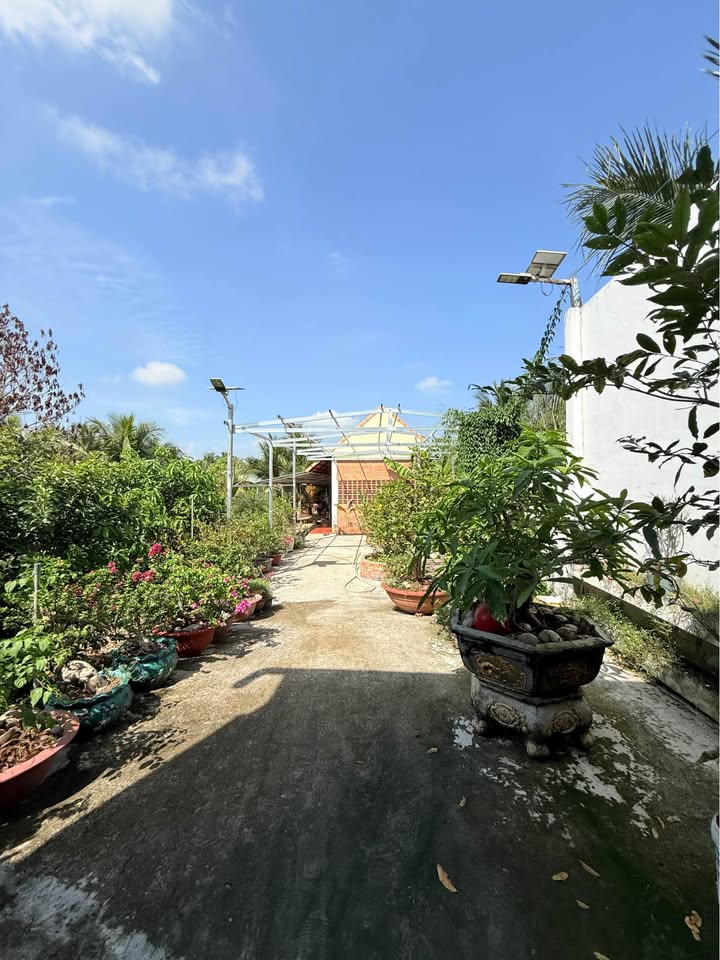 Nhà vườn nghỉ dưỡng 2935m² tại Cao Lãnh - Giá chỉ 6.5 tỷ!