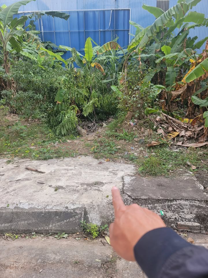 Đất dịch vụ KĐT Tân Tây Đô 48m² giá 1.7 tỷ - Đầu tư sinh lời ngay!