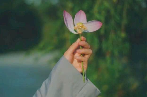 Đất nền Bình Mỹ Củ Chi 715m² giá 290 triệu - Chính chủ cần bán gấp!