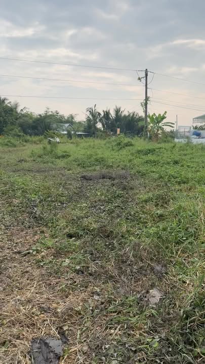 Đất ruộng 4,3 công tại xã Mong Thọ B, Châu Thành - Mặt tiền bờ sông, giá tốt!