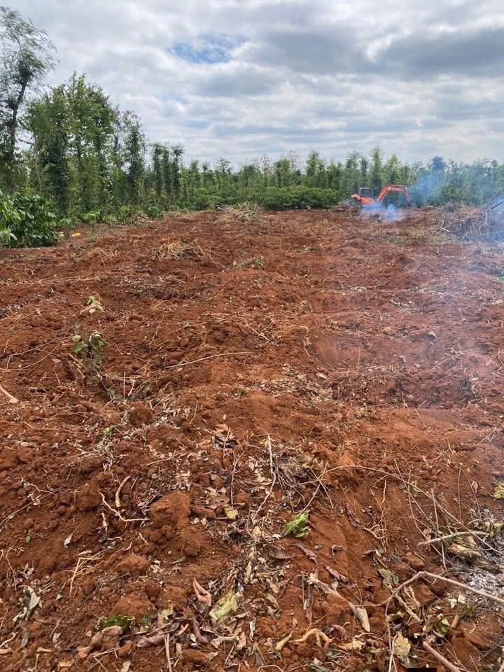 Đất nền Quảng Hiệp, Cư M'gar 2500m² giá 825 triệu - Mặt tiền dài, đầu tư sinh lời!