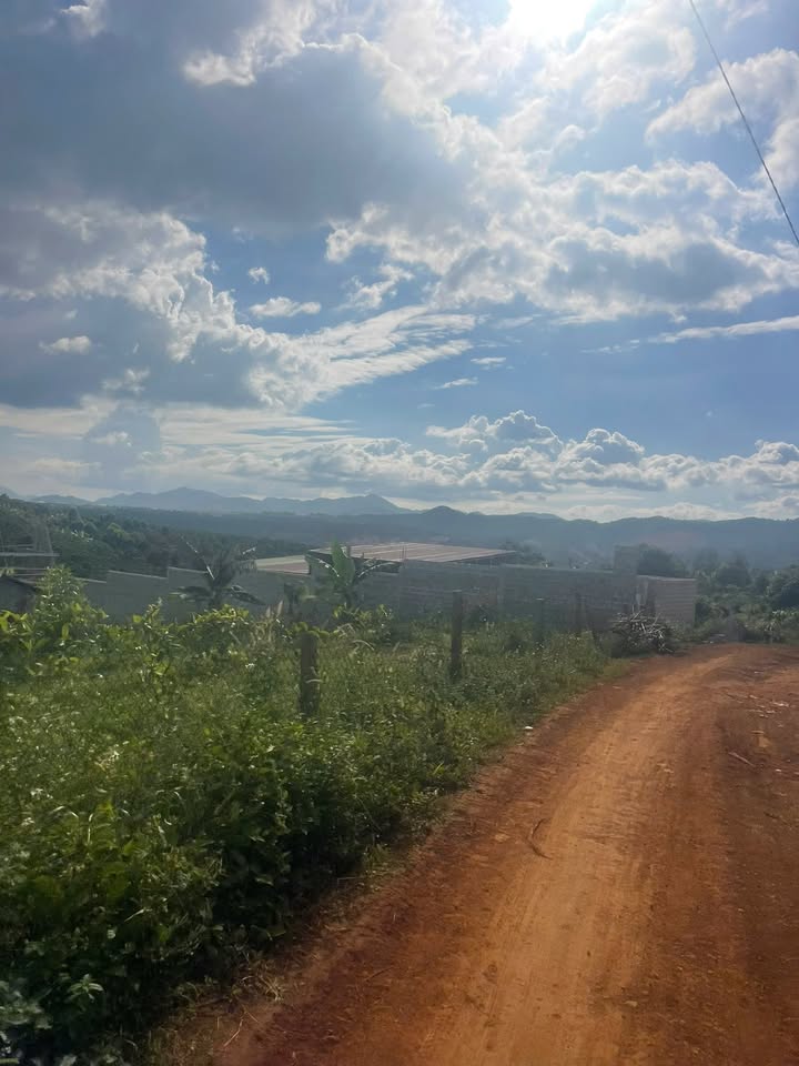 Đất nền đẹp Lộc Tân, Bảo Lộc 5900m² giá 16.2 tỷ - Hướng suối mát mẻ