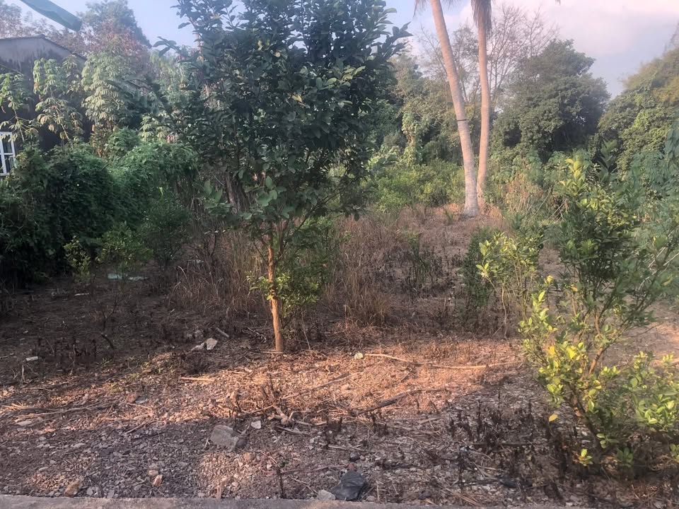 Đất xây biệt thự tại Quyết Thắng, Thái Nguyên 400m² giá 2 tỷ - Cơ hội đầu tư hấp dẫn!