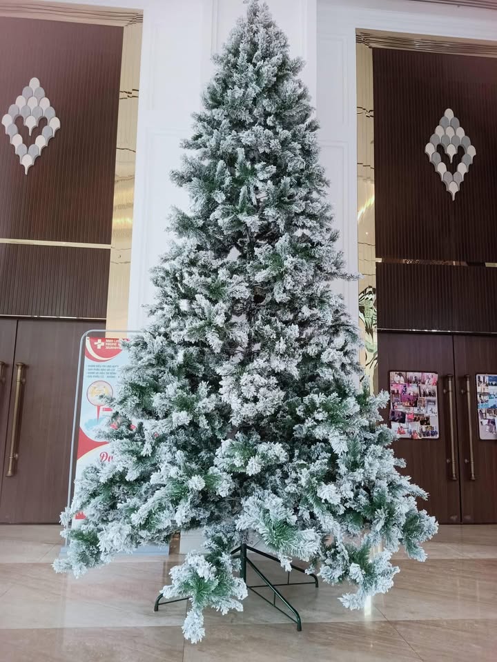 Bán lô góc Biệt thự Lan Anh 1 Bà Rịa 250m² - Địa điểm vàng chờ chủ mới!