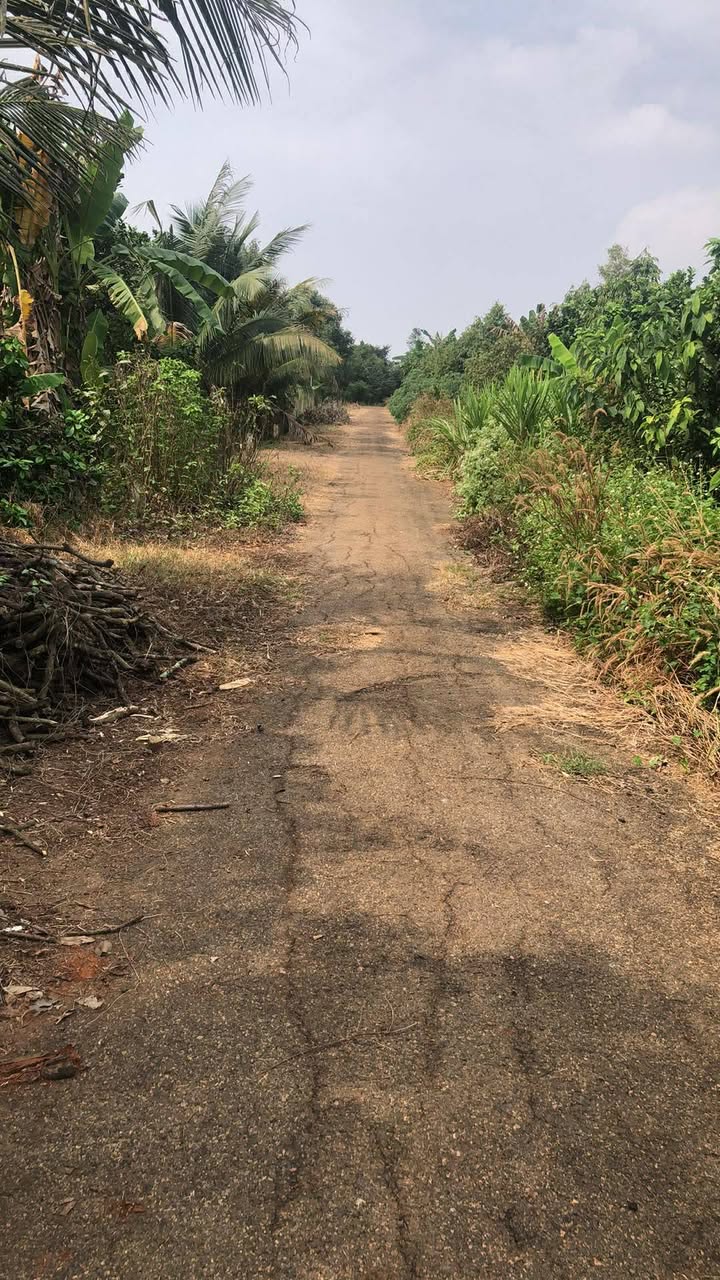 Đất nền 1.25ha tại Phường Tân Thành, Bà Rịa - Vũng Tàu giá 14 tỷ - Đầu tư sinh lời cao!