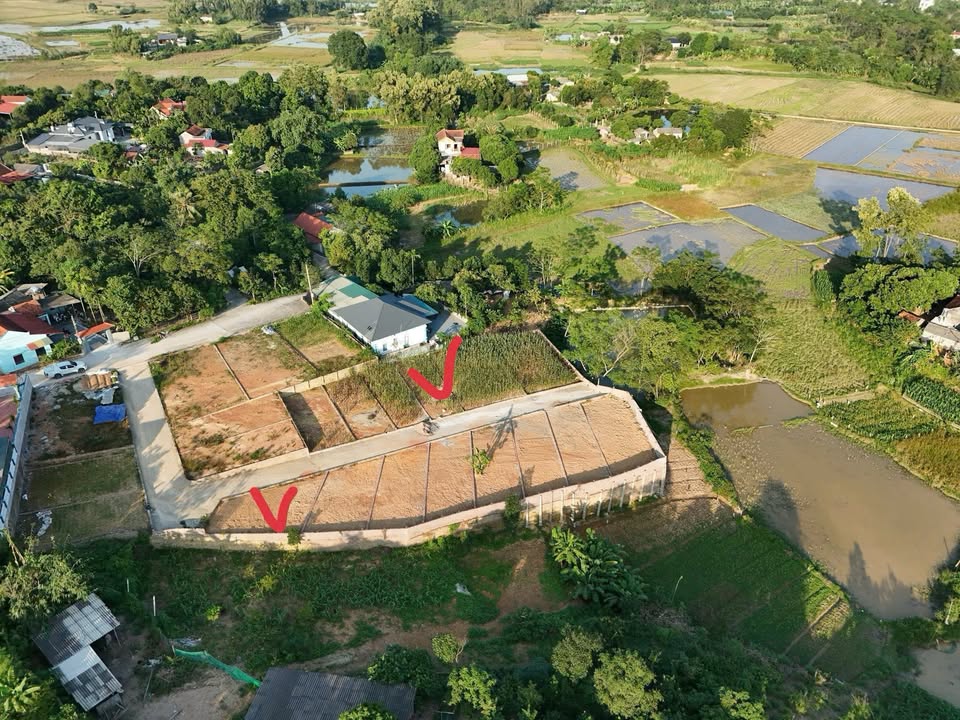 Đất nền Cẩm Lĩnh, Ba Vì 102m² giá 600 triệu - Sổ đỏ chính chủ, đầu tư lý tưởng!