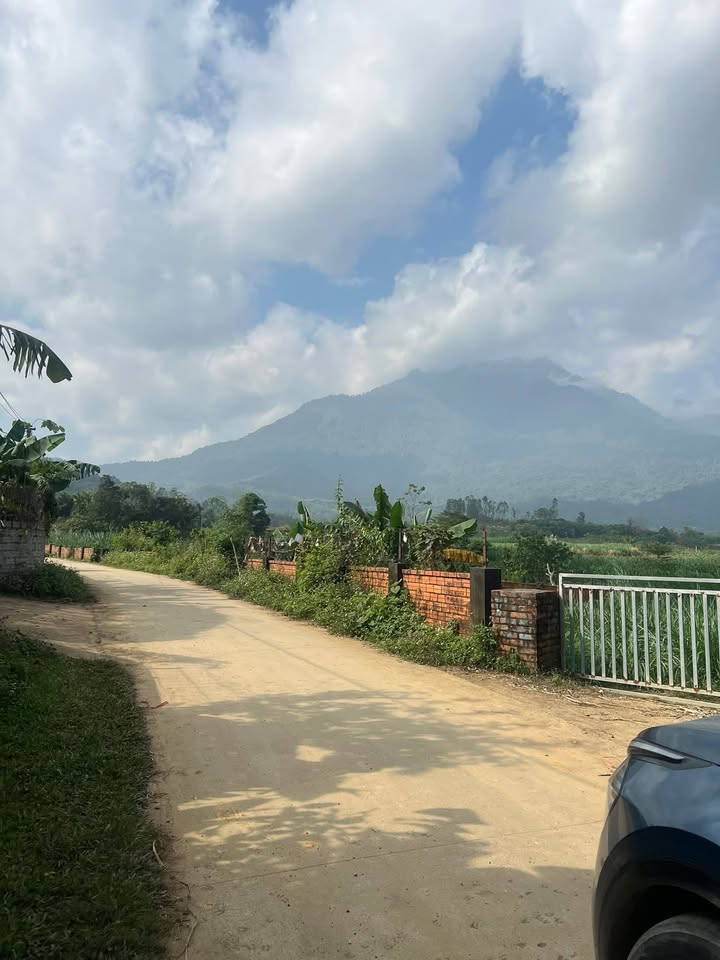 Đất thổ cư thôn Mít Mái, xã Yên Bài, 250m² giá 2.6 tỷ - Cơ hội đầu tư tuyệt vời!