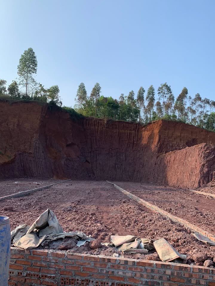 Đất nền Cẩm Khê 100m² giá 500 triệu - Cơ hội đầu tư hiếm có!