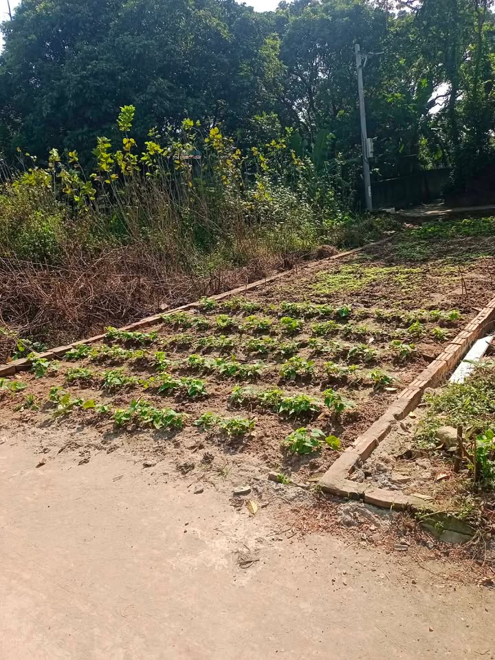 Đất Hưng Đạo Quốc Oai 68m² giá 3 tỷ - Đất hai mặt đường ô tô vào tận nơi!