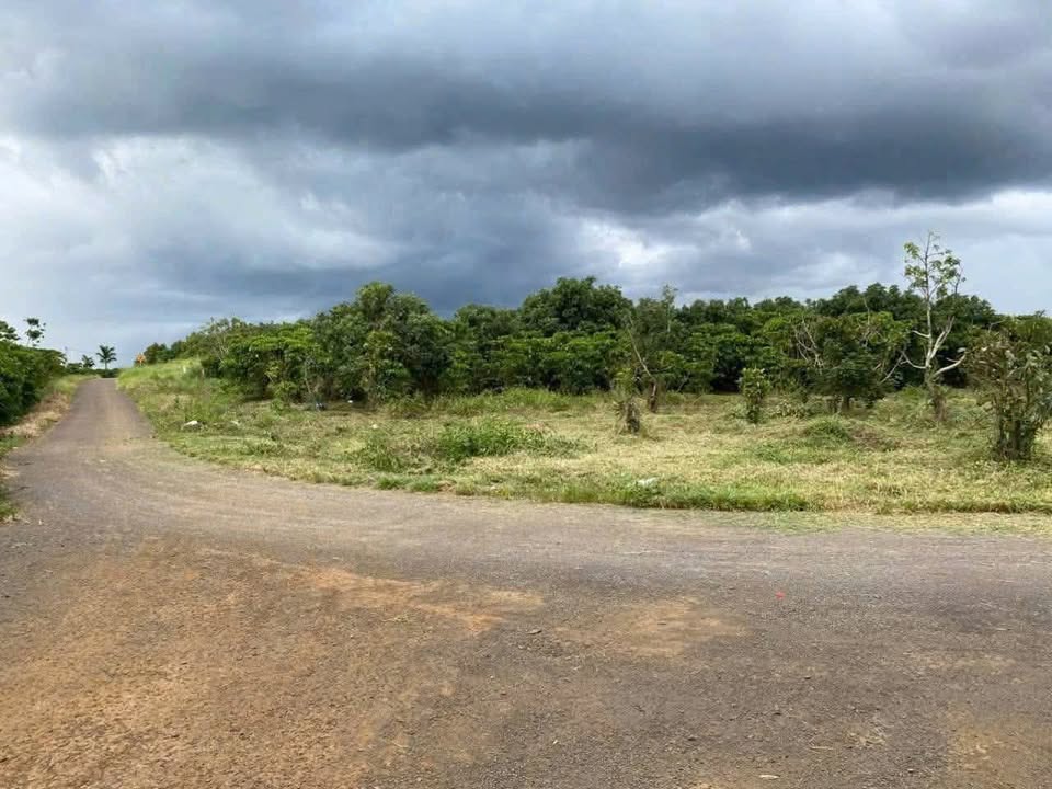 Đất thổ cư Lộc An Bảo Lâm 1040m² giá 450 triệu - Mặt tiền đường nhựa rộng rãi!