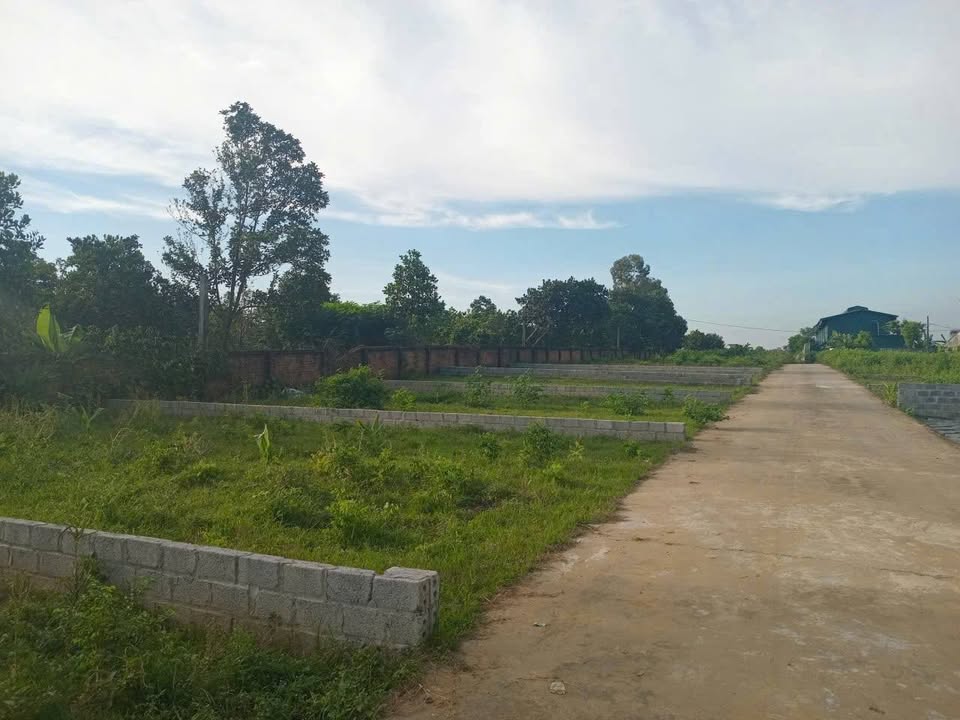 Đất nền Quốc Oai 115m² giá 2.765 tỷ - Cơ hội đầu tư hiếm có!