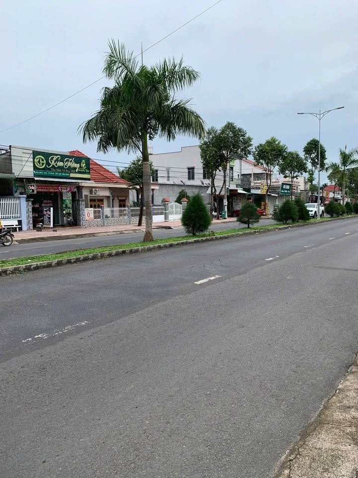 Đất Farm 5,1ha tại Thị Trấn Võ Xu, Đức Linh - Giá 29 tỷ, Đầu Tư Lý Tưởng!