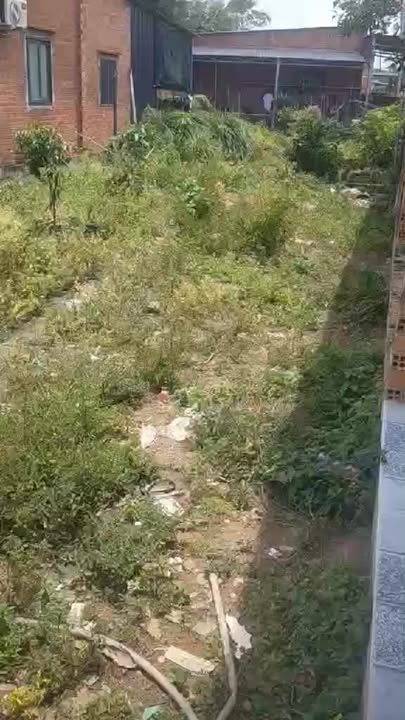 Đất thổ cư 190m² tại Phước Hậu, Trảng Bàng - Giá chỉ 700 triệu, thương lượng!