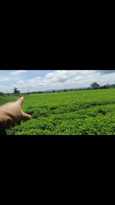 Đất rẫy 5ha tại xã Ia Hla, huyện Chư Pưh, giá chỉ 2.68 tỷ - Cơ hội đầu tư hấp dẫn!