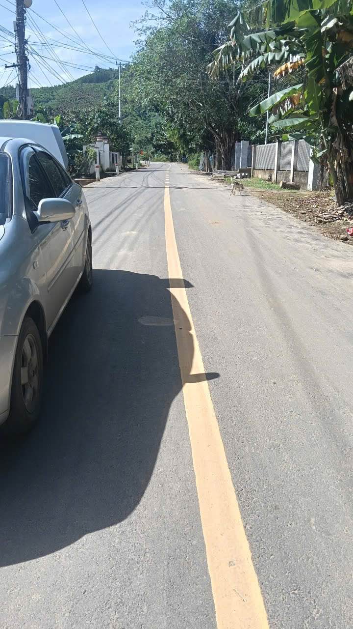 Đất thổ cư 2 mặt tiền Khánh Thành, Khánh Vĩnh 506m² giá chỉ 480 triệu - Cơ hội đầu tư tuyệt vời!