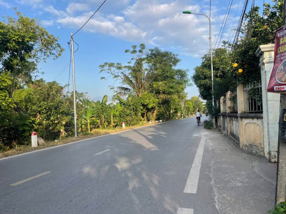 Đất nền Bạch Mai, An Dương 61m² giá 1.4 tỷ - Đầu tư sinh lời ngay!