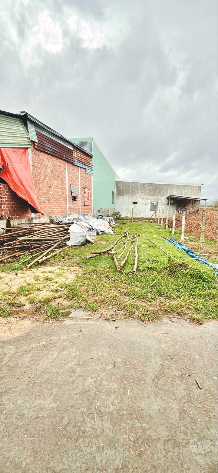 Đất nền Phước Quang, Tuy Phước 100m² giá 599 triệu - Đầu tư sinh lời ngay!