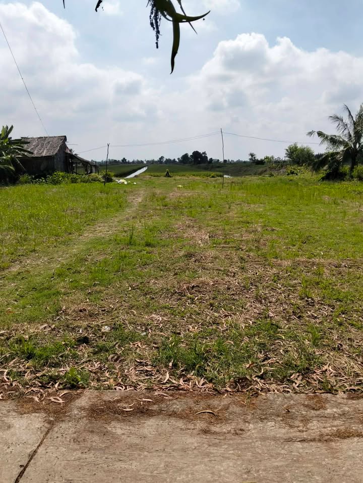 Đất tôm lúa 90.000m² xã Đông Hưng, An Minh giá 3 tỷ - Cơ hội đầu tư sinh lời!